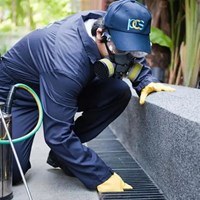 Портфолио Quality Pest Management & Solutions